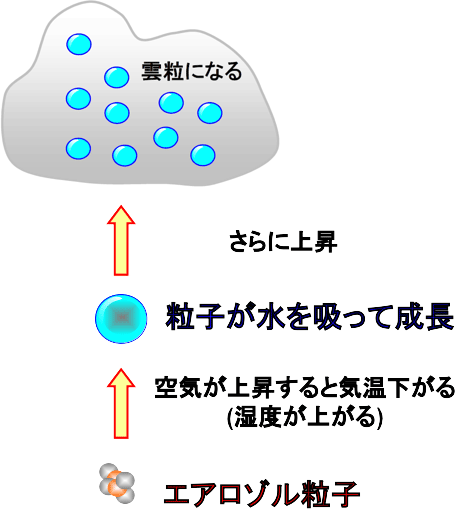 図1 上昇する空気に含まれているエアロゾルが水を吸って雲粒ができる（竹川暢之博士作成）